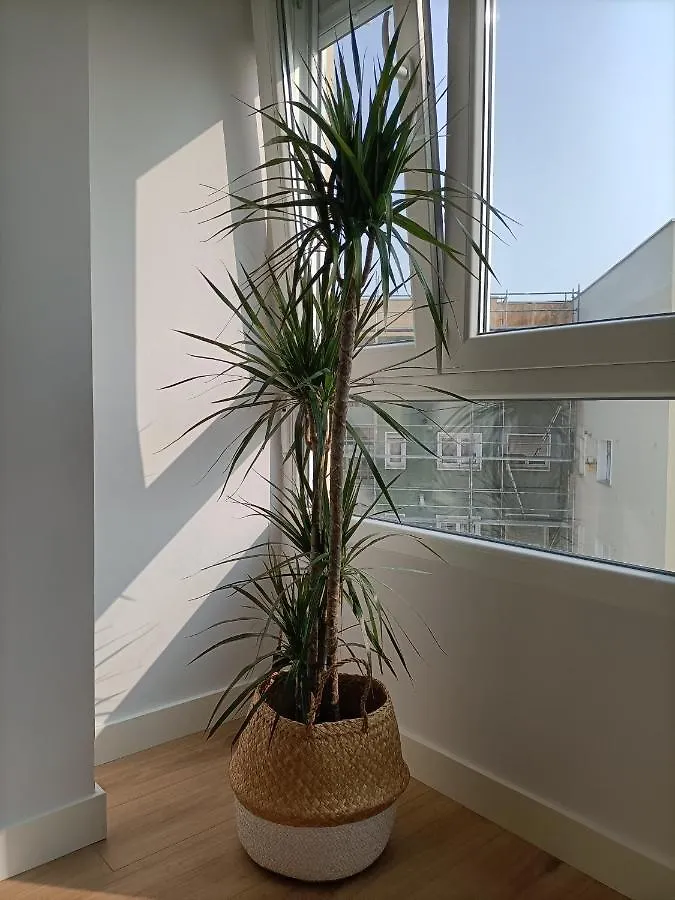 Precioso Apartamento Nuevo Centrico En 산탄데르 0*,
